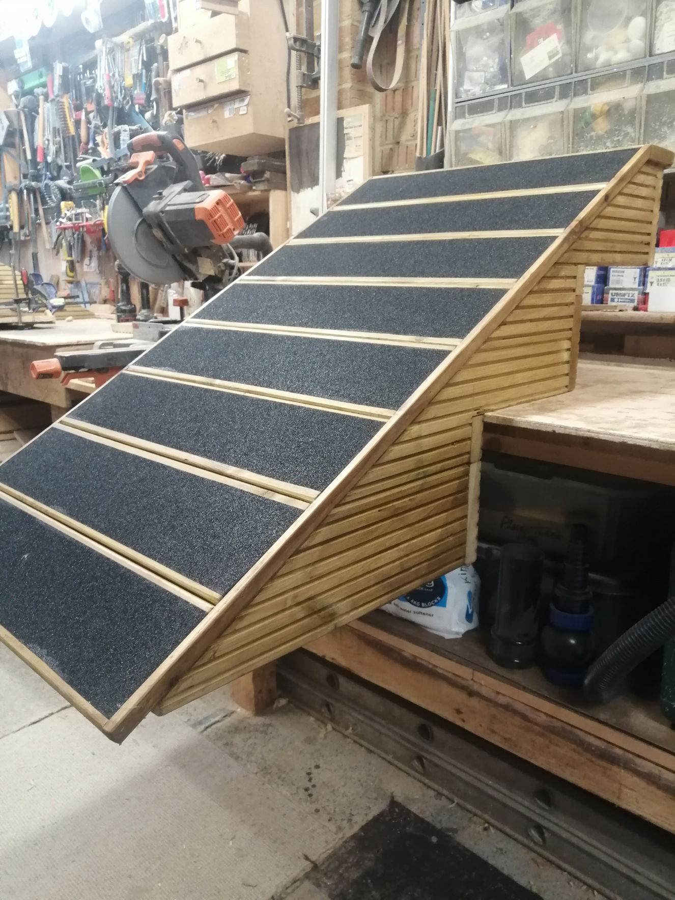 Multi-Step Ramp for difficult steps