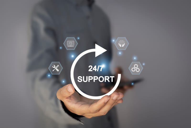 24/7 Professional Support