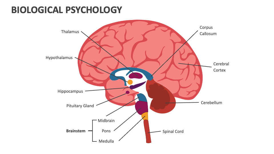 The Biological Approach