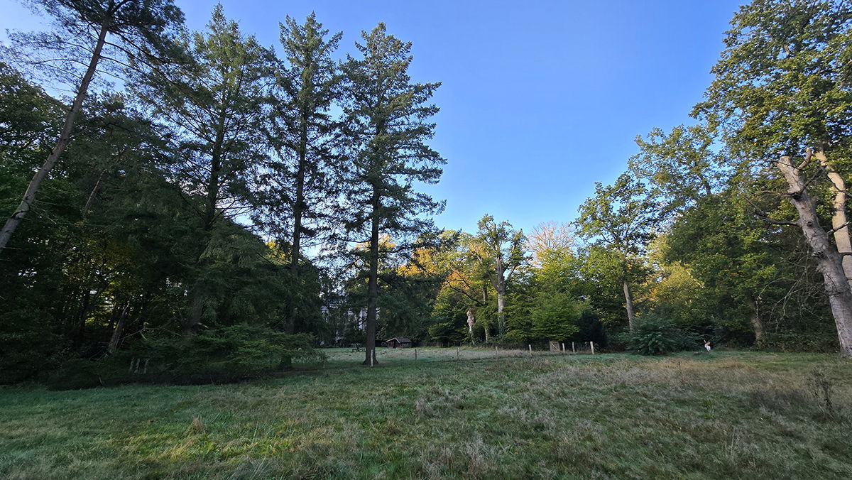 Een toevallige ontmoeting