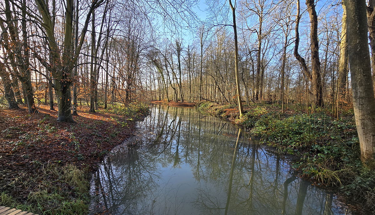 Slingervijver