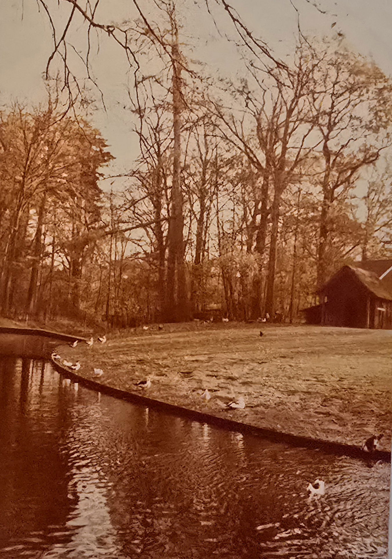 1976