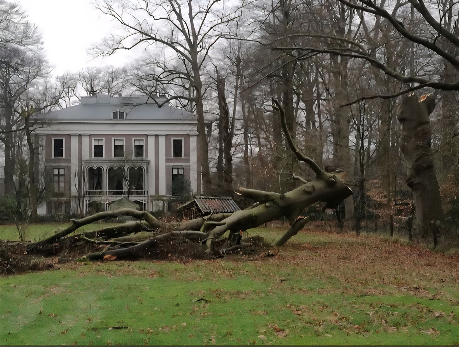 Beuk afgebroken in 2018
