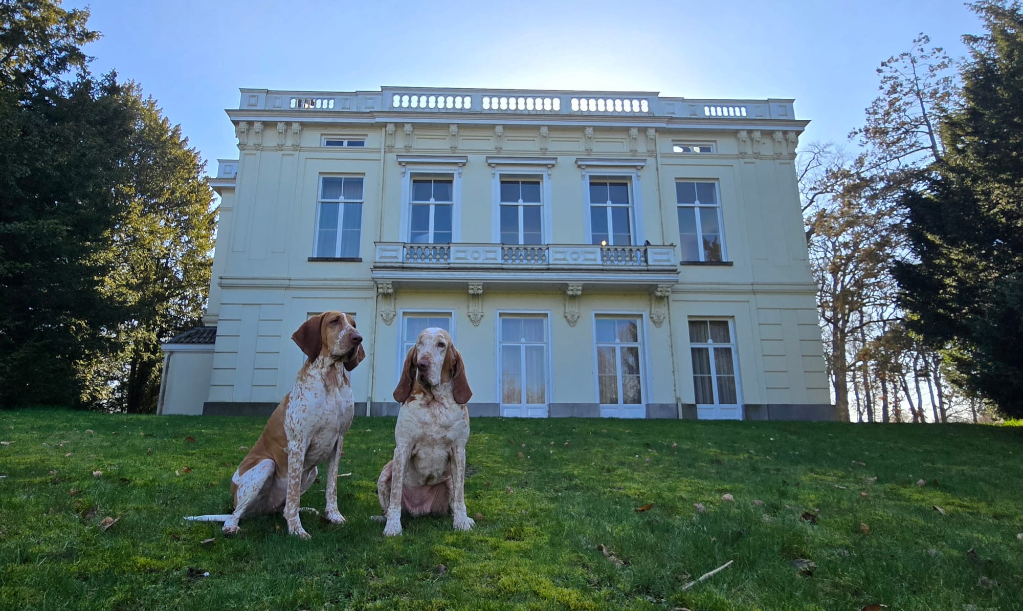 Unknown village square and country estate "De Brink"