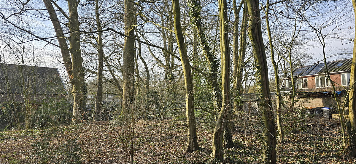 Boerderij en achterzijde arbeiderswoningen