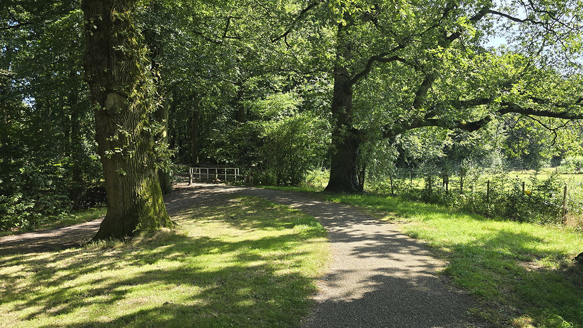 path to the bridge and meadows on the right