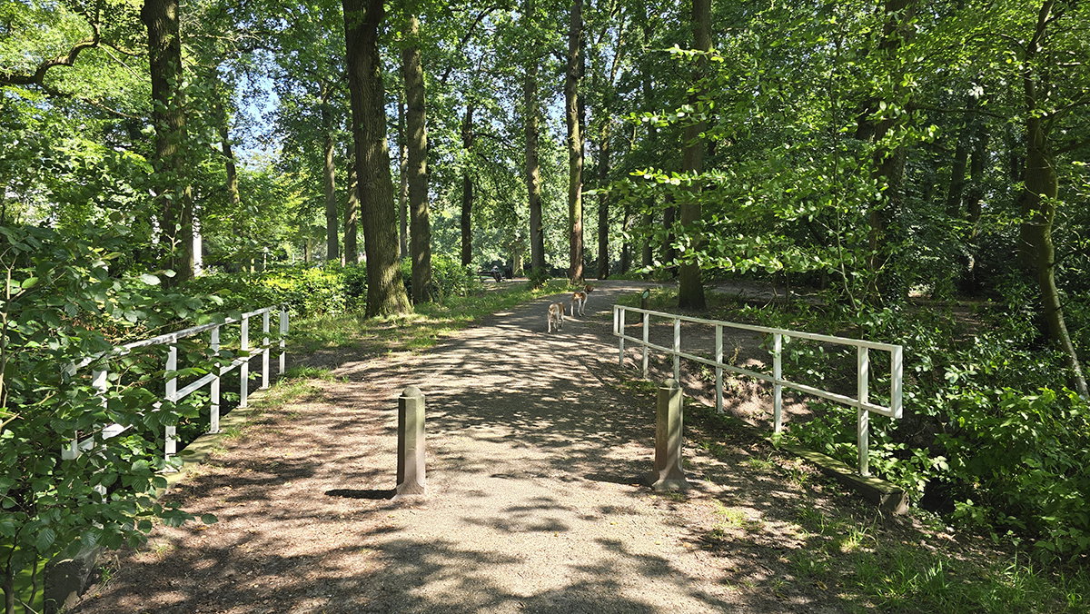 Brug naar het huis en rechts naar het eikenbos