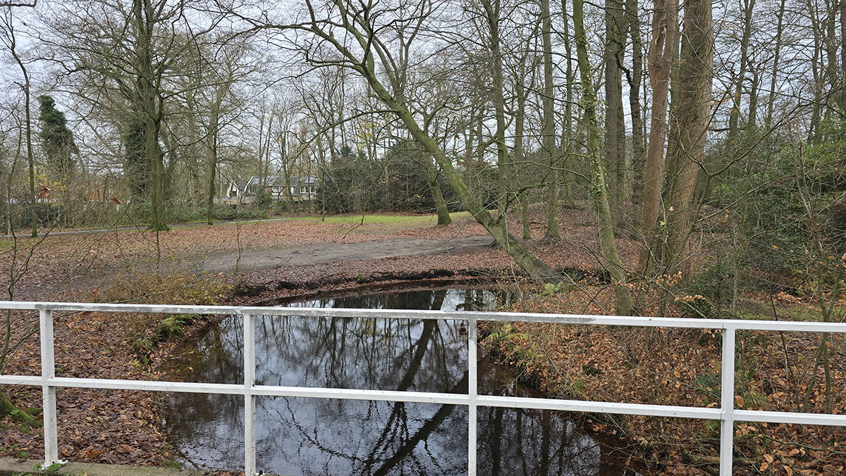 Serpentine pond to the front of the house