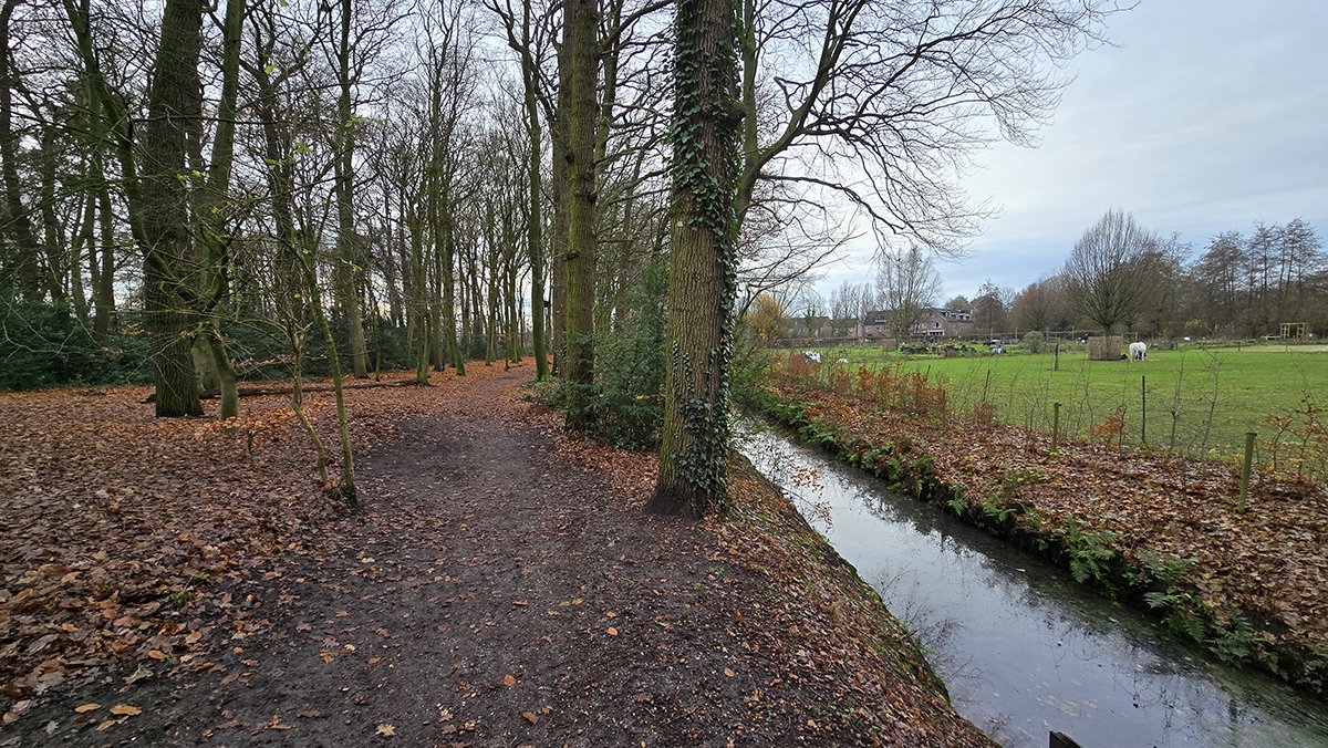 Path in former oak forest