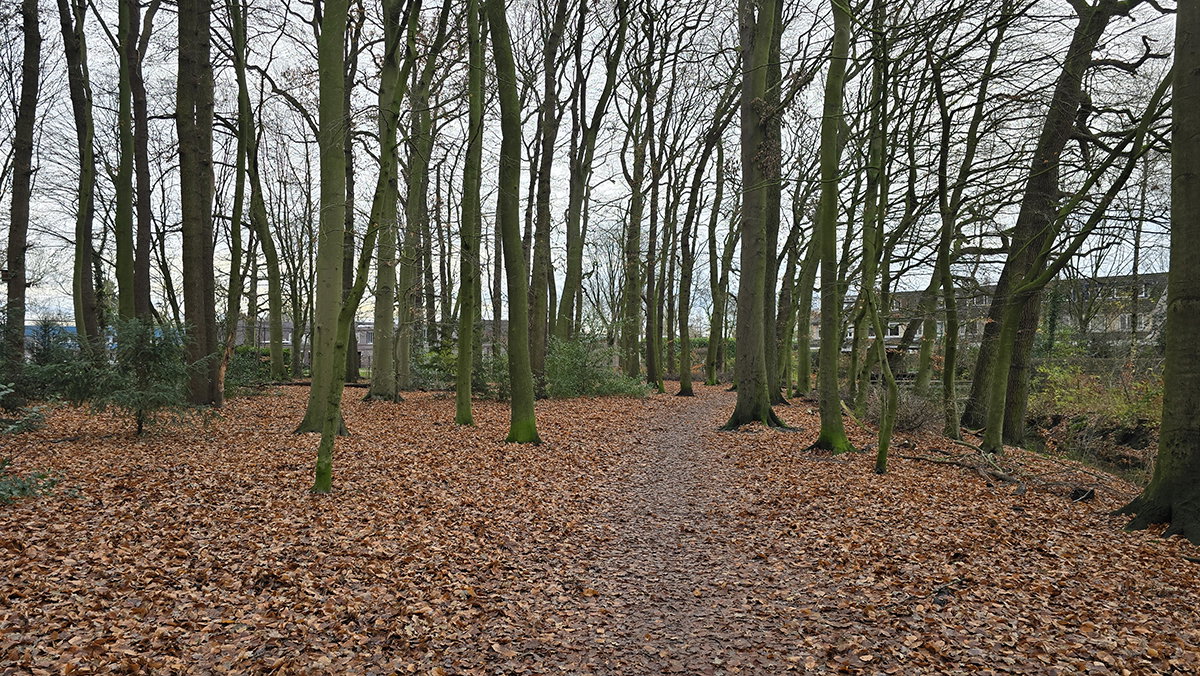 Aan het eind Wijk De brink
