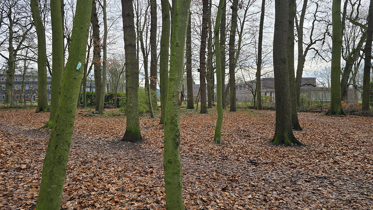 Bartiméus Buildings