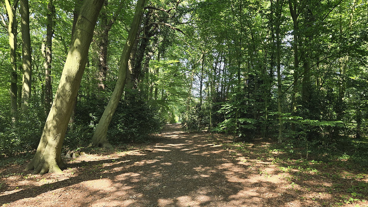 Parallel pad naar huis De Brink