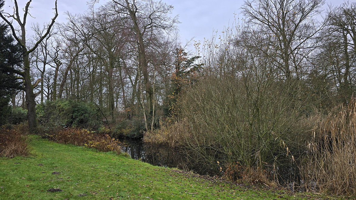Serpentinevijver voor het huis