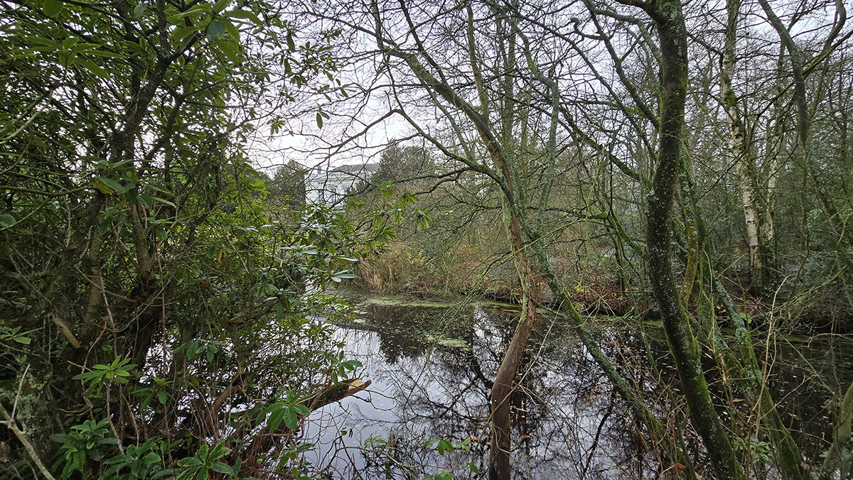 Serpentinevijver met blik op voorzijde huis.