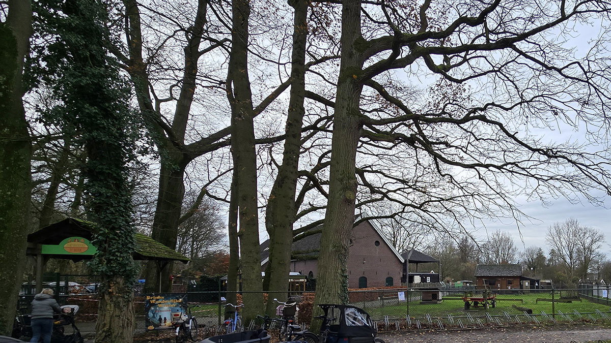Griftlaan Children's Farm