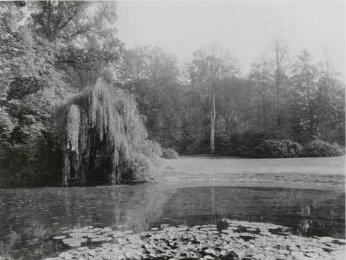 1910 Serpentinevijver