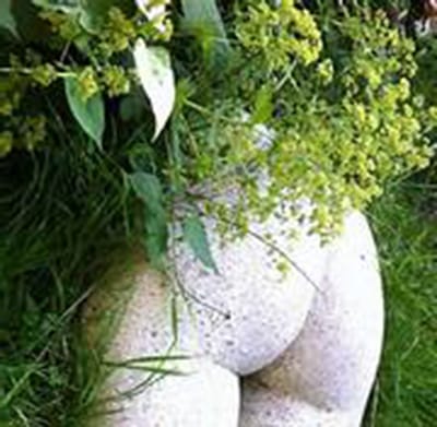 “Bleekgezicht” Niet bleek gezicht