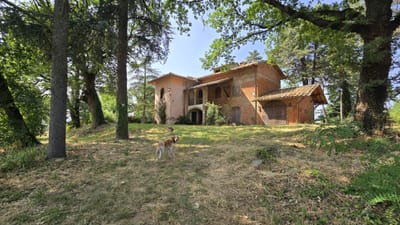 Verlaten wijnboerderij