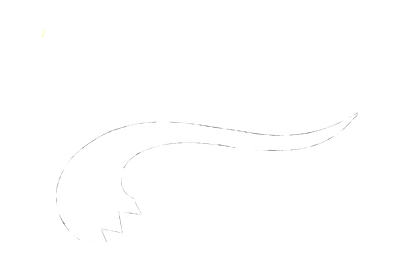 Blue Fox Salon