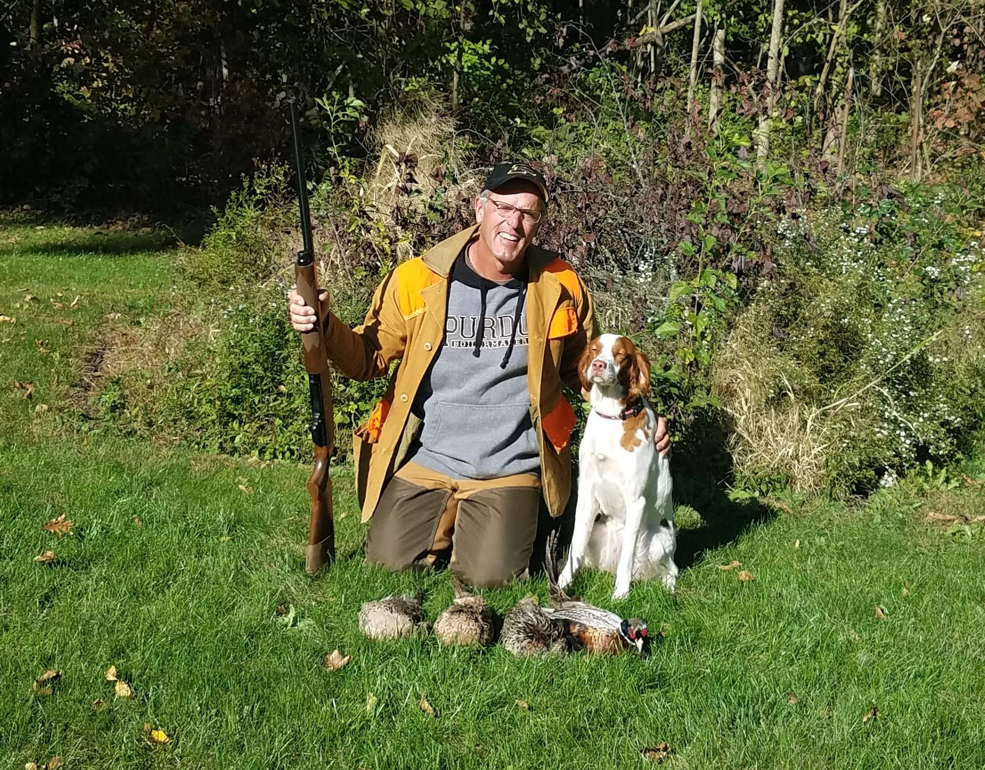 Gundog Training for Brittanys: Build a Polished Field Companion