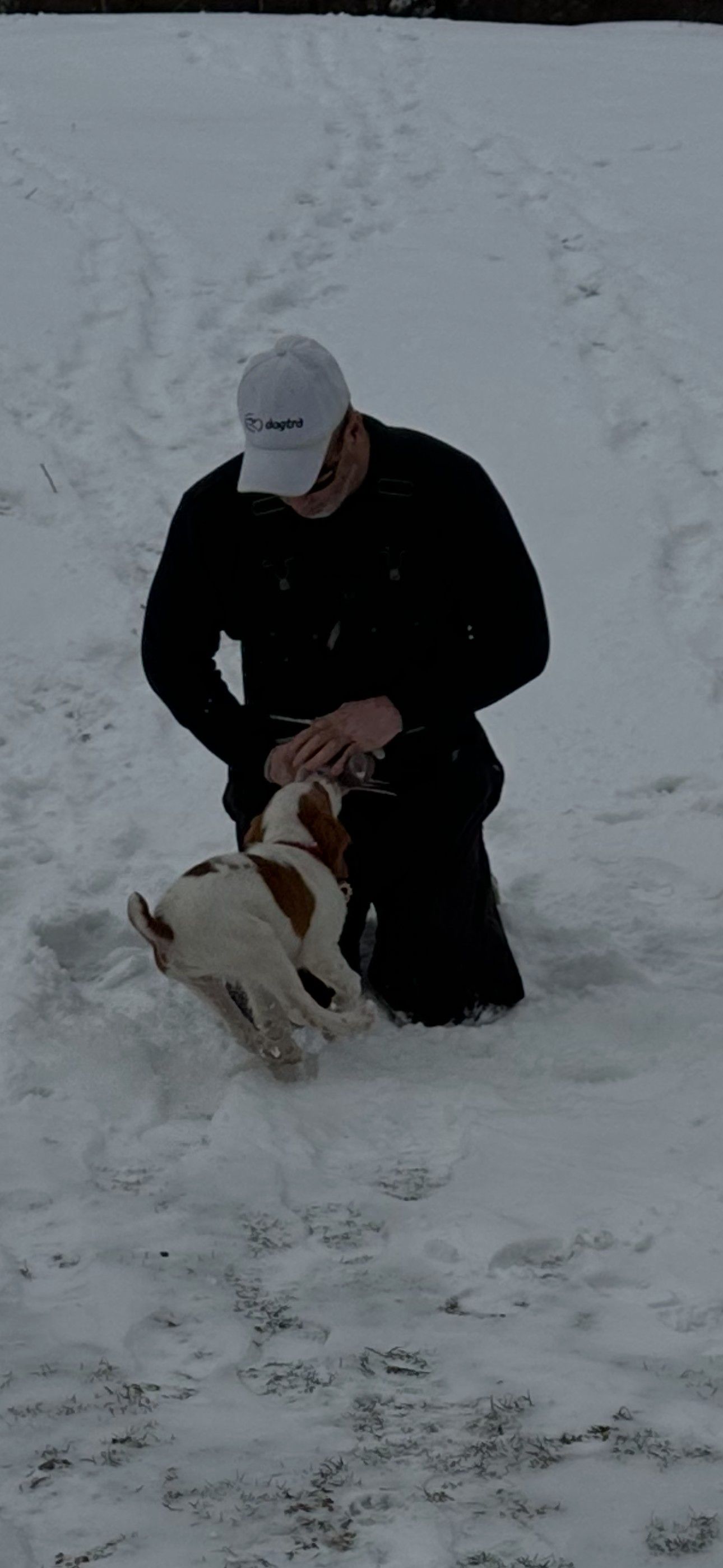 Turkey Creek O'Dee Coopers Ozark Traveler Bodie (whelped 9/24/25)