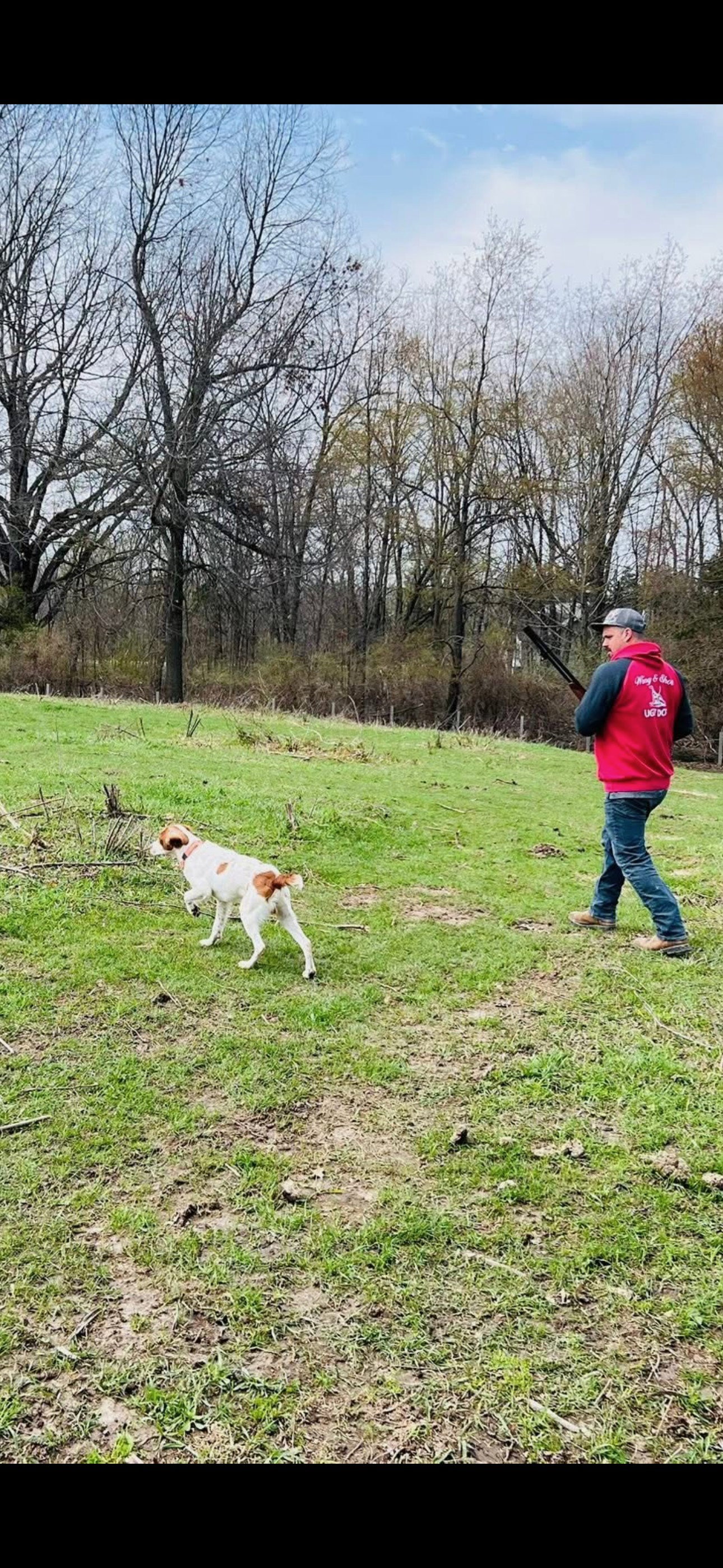 Turkey Creek O'Dee Coopers Ozark Traveler Bodie - 32 Weeks Old Professional Training Session