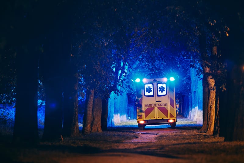 Transport- und Begleitsicherheit