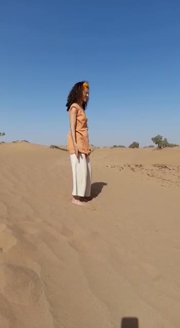 LE DRAGON DE L4INONDATION PLONGE DANS LA MER