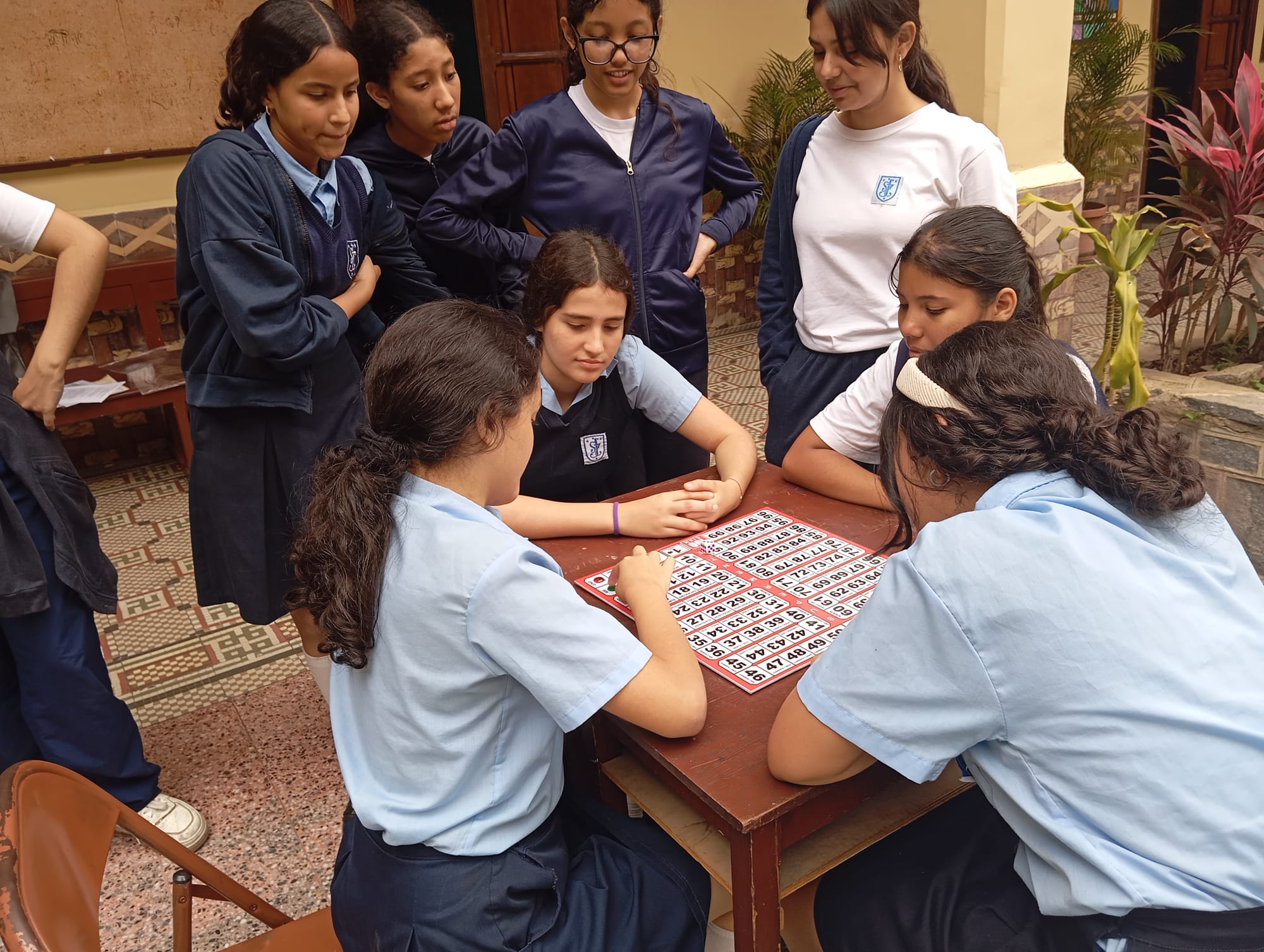 Con Alta atracción y conección, fusiona educación, ejercicio mental y entretenimiento de forma sencilla, efectiva y novedosa