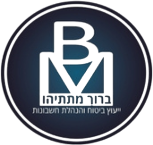 ברוך מתי יועץ מס