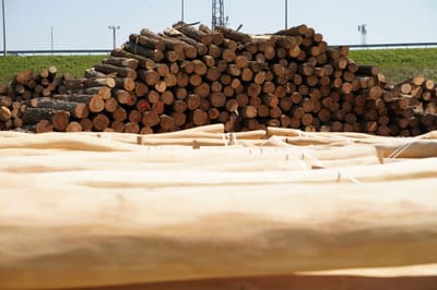 Choosing the Right Timber for Playground Projects: A Guide for Builders