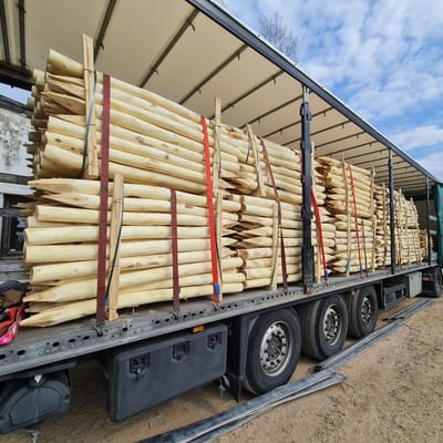 The Benefits of Using Robinia Wood for Outdoor Projects