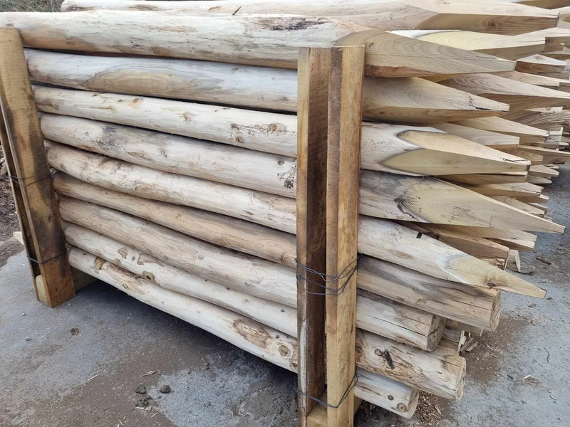 Robinia Fence Posts