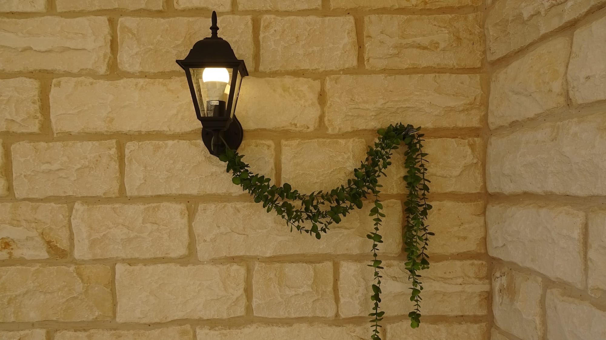 BASIC HOUSE - SHEFA-AMR