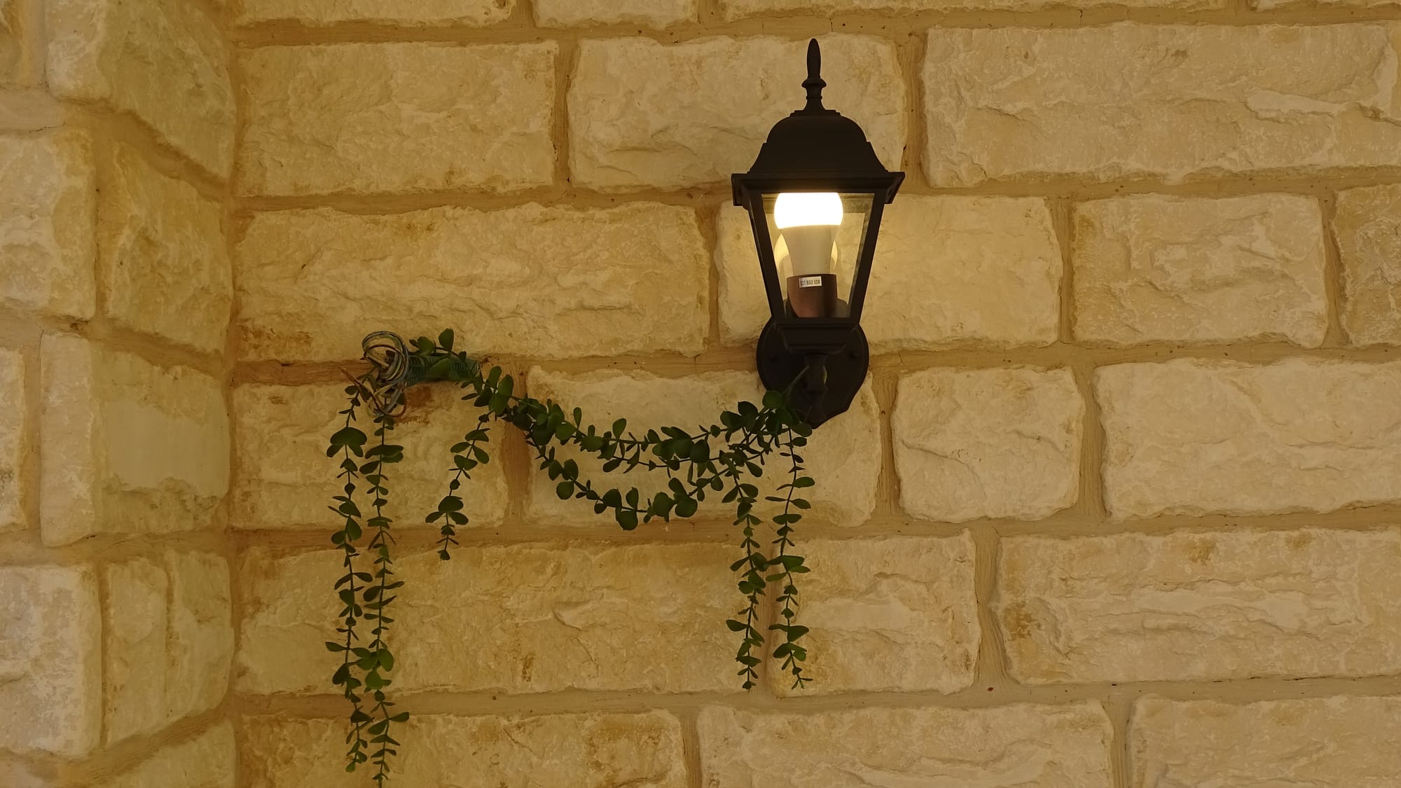 BASIC HOUSE - SHEFA-AMR