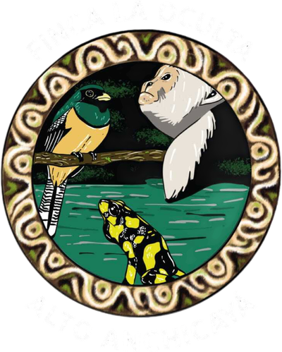 LA OCULTA