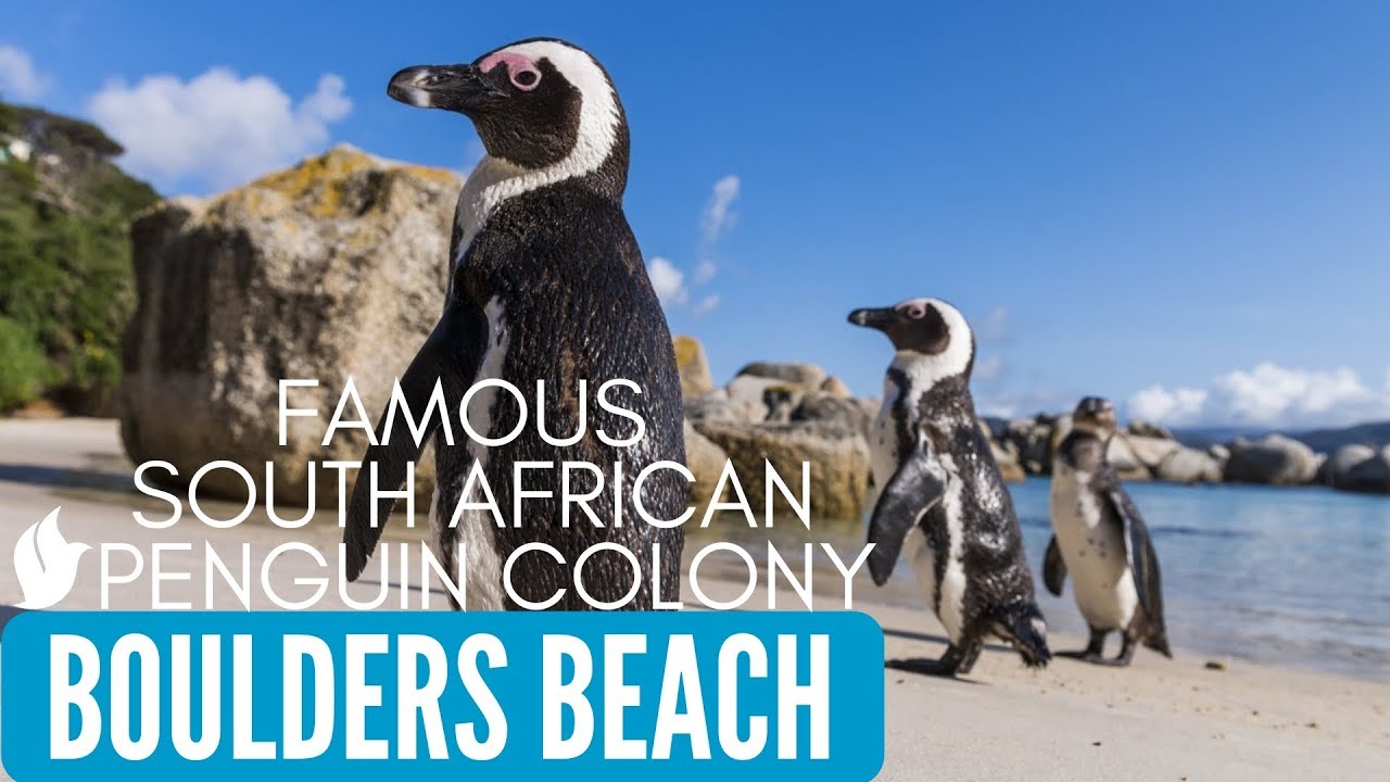 Boulders Beach