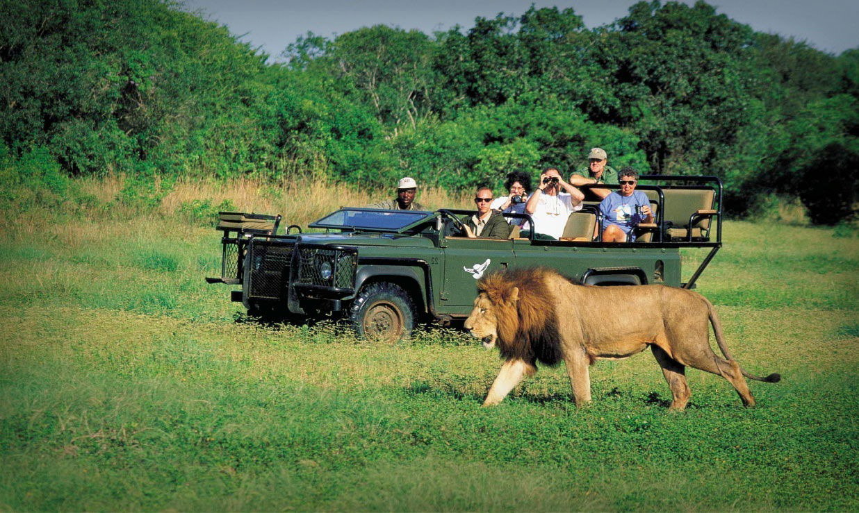Game drive