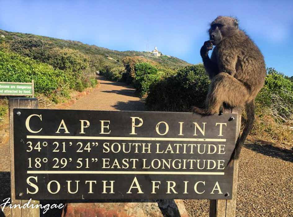 Cape point