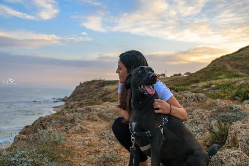 פורטרייטים-צילומים אישיים
