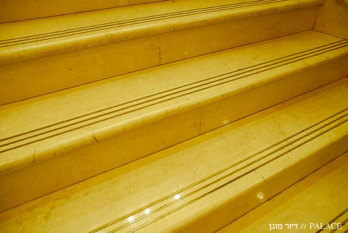 פאלאס-דיור-מוגן