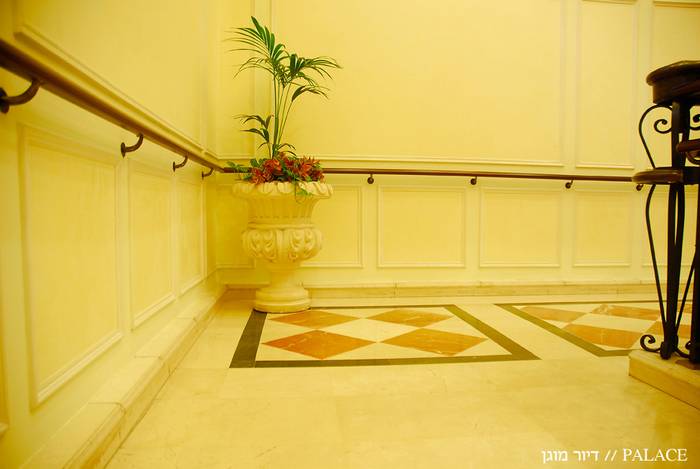 פאלאס-דיור-מוגן