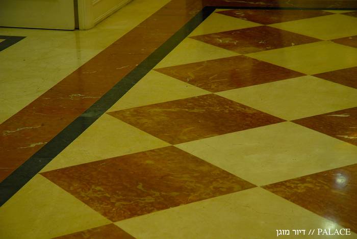 פאלאס-דיור-מוגן