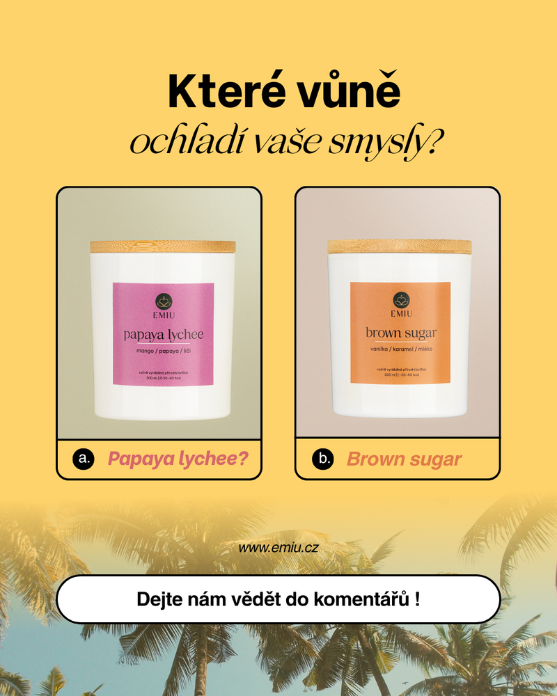 Statický příspěvek #1