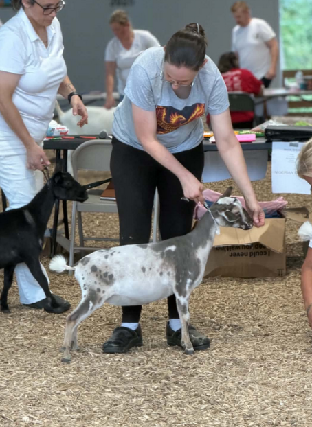 Phoenix Rising Show Tunes - Reserve Grand Jr doe - MDGA Bucks N Babes show 2026