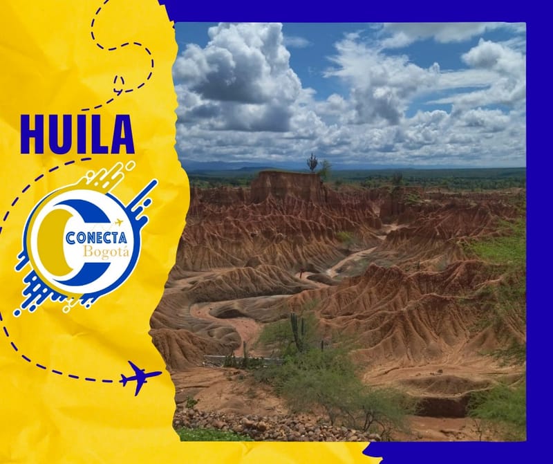 HUILA - DESIERTOS Y GIGANTES