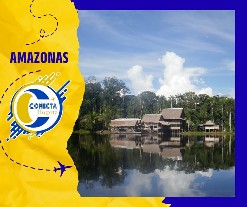 AMAZONAS - PULMÓN DEL MUNDO 