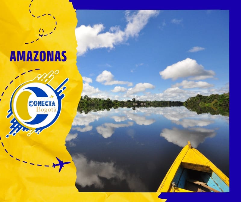 AMAZONAS - PULMÓN DEL MUNDO 