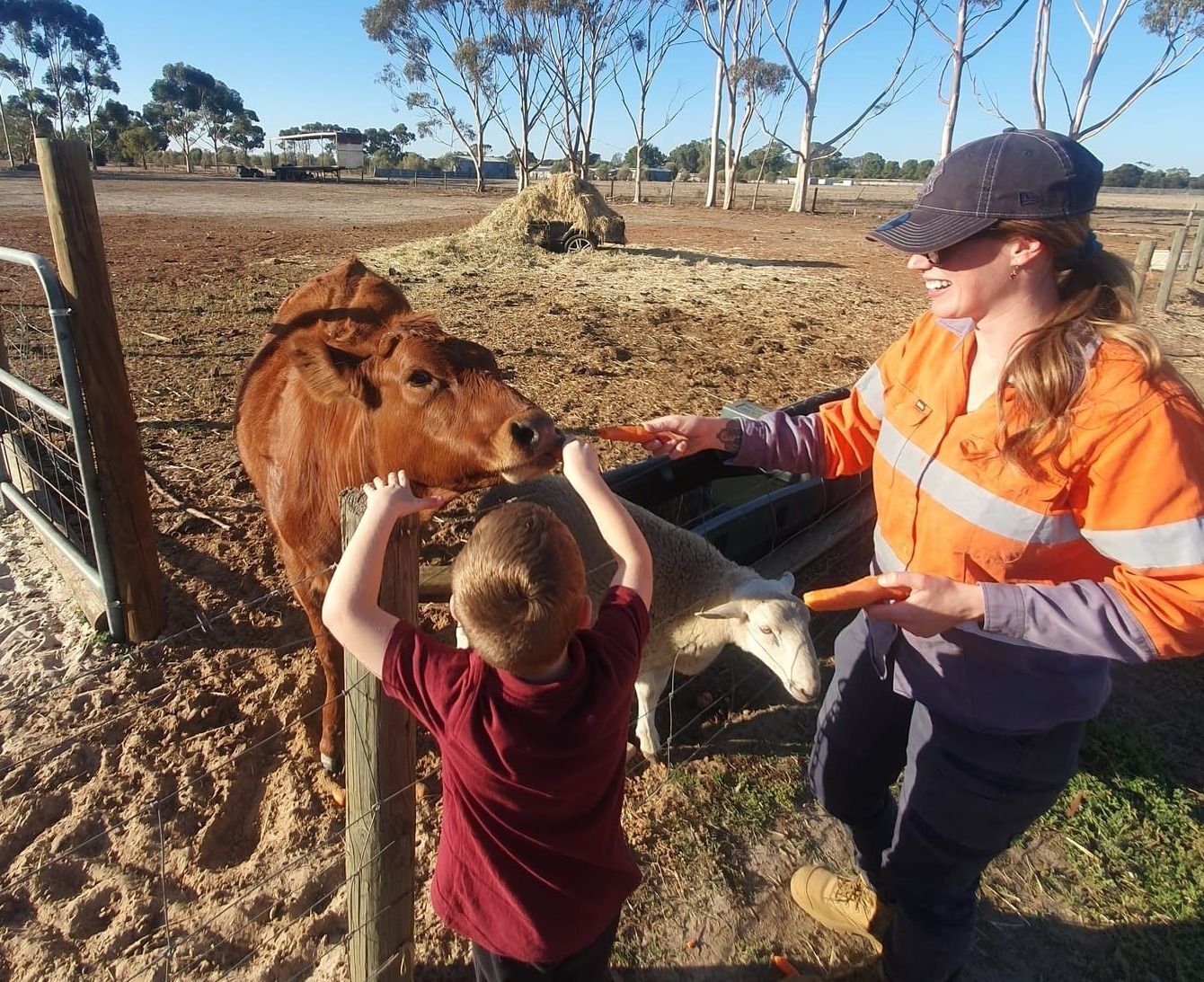 Feeding Coco the cow and Arfa the sheep