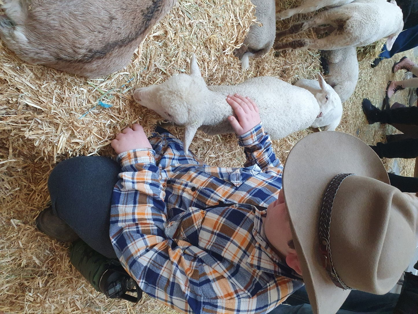Visiting the petting zoo
